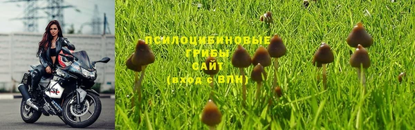 гашиш Володарск