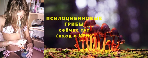 гидропоника Слюдянка